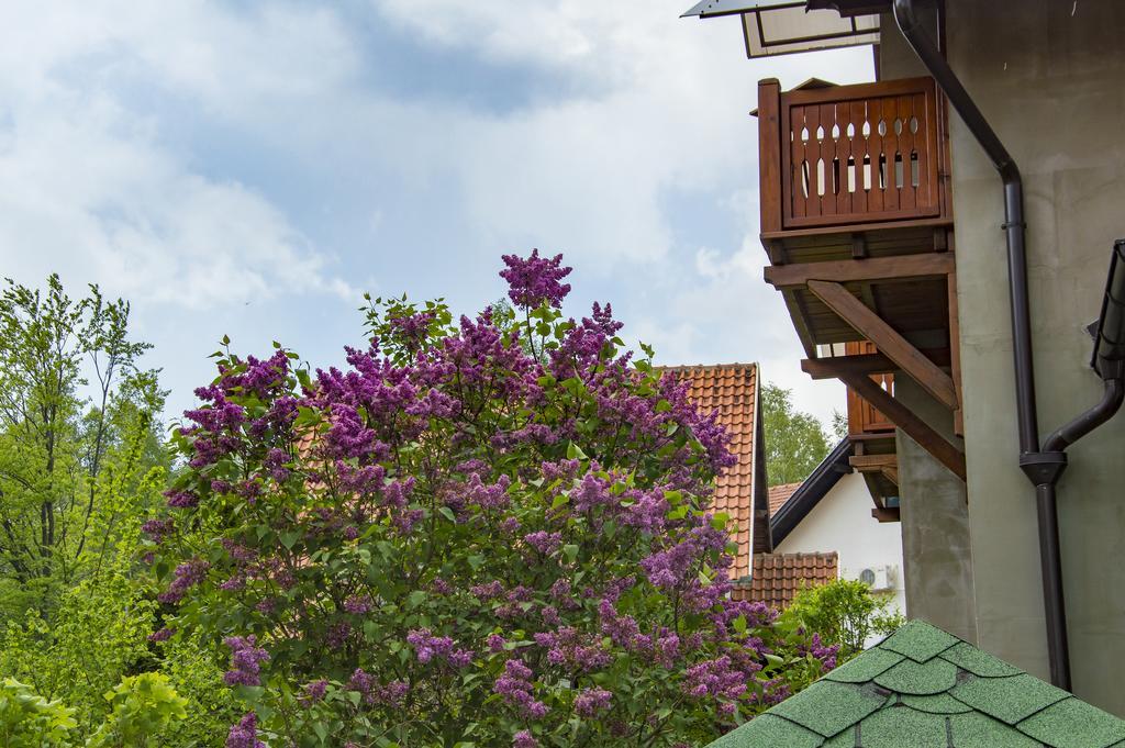 Apartments Josipovic Златибор Екстер'єр фото